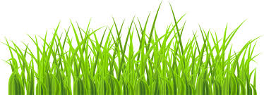 ８月２７日（日）「草刈りバスターズ」が、 飯綱高原の大谷地湿原のヨシ刈りに協力しました。 詳しい内容は☞【 草刈りバスターズ　実践活動報告】をご覧ください！！