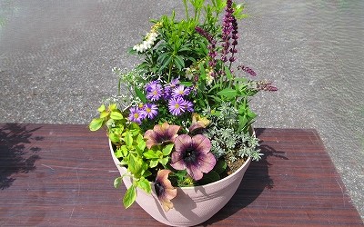 4/19（土）芋井公民館で「春のガーデニング講座」を開催いたしました。  