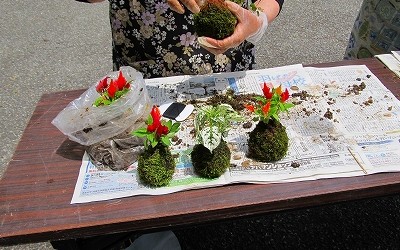 令和７年５月２９日（木）芋井公民館にて「苔玉づくり講座」を開催いたしました。